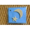 Broche paillette