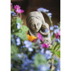Cartes - Chez nous soyez Reine !