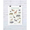 Les animaux de la savane