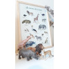 Les animaux de la savane