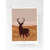 Affiche "Grand Cerf" - 30x40cm