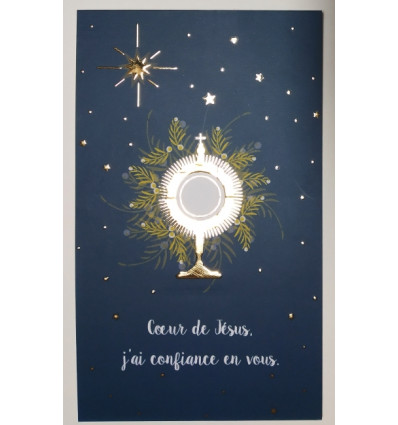 Lot de 10 images de Première Communion avec dorure : "Cœur de Jésus j'ai confiance en vous"