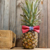 Noeud Papillon Adulte