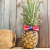 Noeud Papillon Adulte