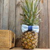 Noeud Papillon Adulte