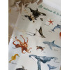 Zoom affiche les animaux de la mer
