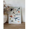 affiche les animaux de la mer