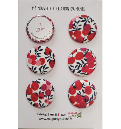 Coffret de magnets liberty 9009 witshire rouge