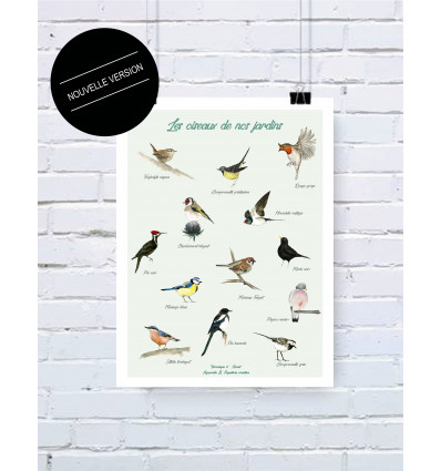 Les oiseaux de nos jardins