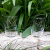 photophore colombe