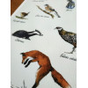 Affiche Les animaux des bois