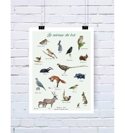Affiche Les animaux des bois