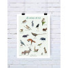 Affiche Les animaux des bois