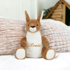 Peluche ou Range-pyjama brodé