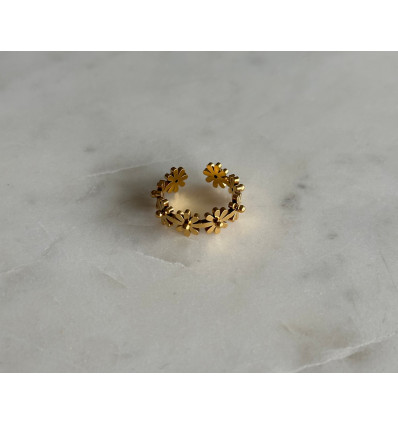 Bague Irsa