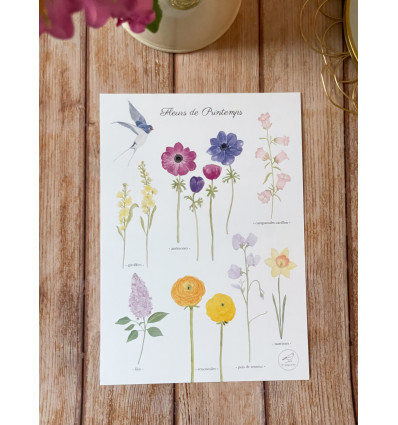 Affiche aquarelle "Fleurs de printemps"