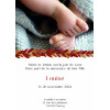 Faire-part de naissance Automne
