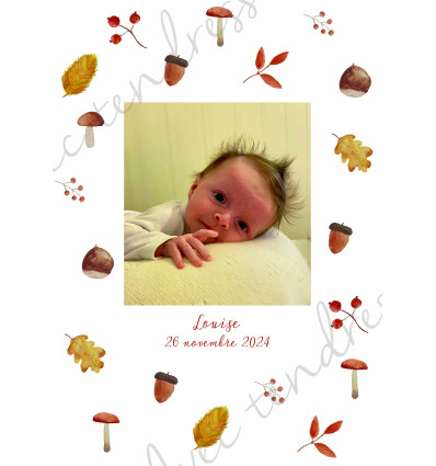 Faire-part de naissance Automne
