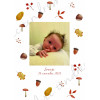 Faire-part de naissance Automne