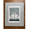 Lignum Vitae, gravure - Tirage d'art 