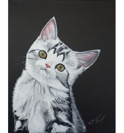 Toile  " chat blanc et tigré " sur fond noir