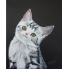 Toile  " chat blanc et tigré " sur fond noir