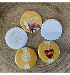 Lot de 5 magnets