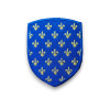 Ecusson Ville Saint Denis