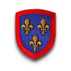 Ecusson Anjou Maine et Loire