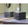 Digraphe Cristallin 6cm