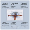 Puzzle - Dieu t'aime Grand comme ça !!! +14 ans